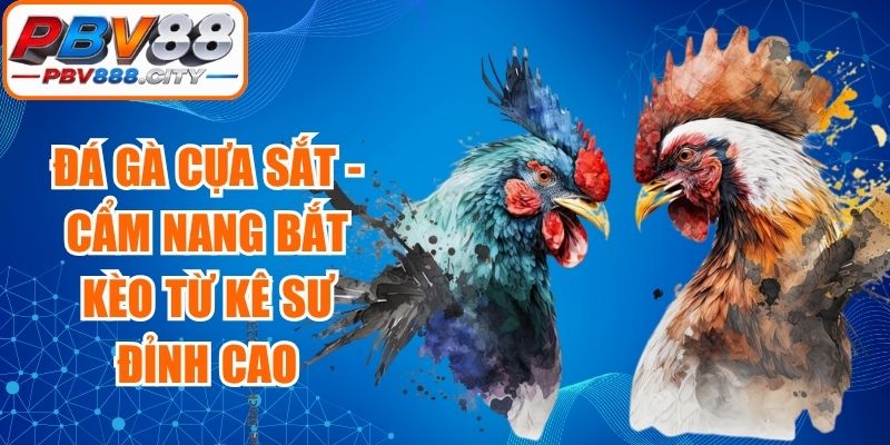 Đá Gà Cựa Sắt - Cẩm Nang Bắt Kèo Từ Kê Sư Đỉnh Cao