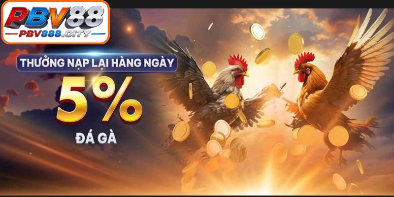 Mỗi thể loại đá gà PBV88 đều được thiết kế với cơ chế mở thưởng minh bạch