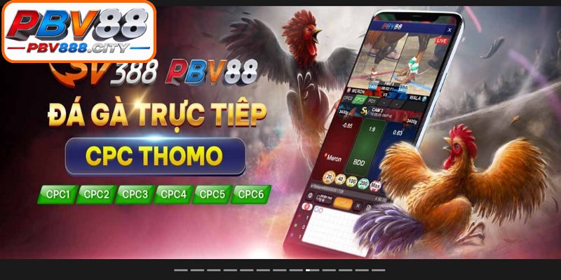 Quy trình tham gia đặt cược trực tuyến đơn giản nhanh chóng