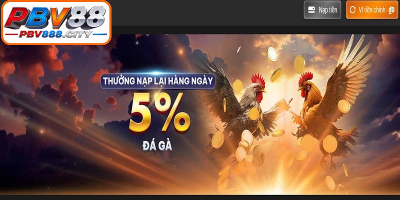 Chi tiết cụ thể về chương trình khuyến mãi PBV88 