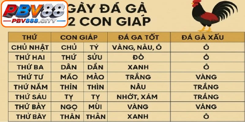 Bí kíp cho kê thủ khi lựa chọn và phân tích màu gà mạng