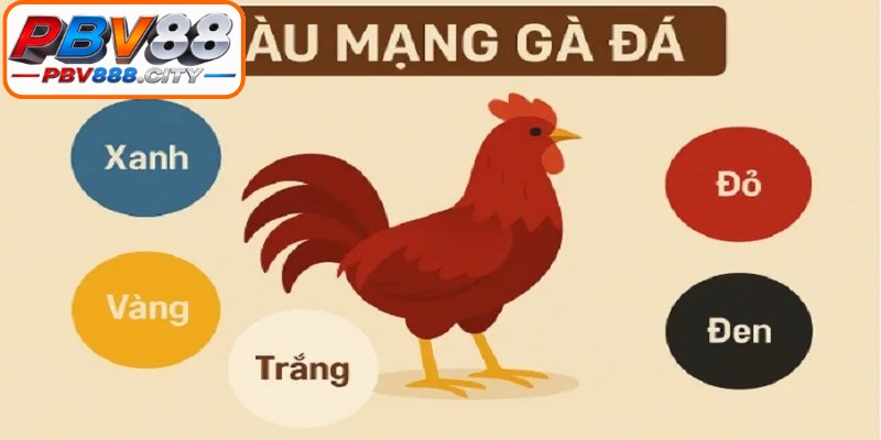 Xem màu gà mạng chuẩn xác giúp người chơi nắm bắt cơ hội chiến thắng