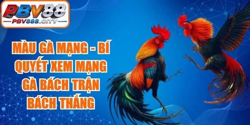 Màu gà mạng - Bí Quyết Xem Mạng Gà Bách Trận Bách Thắng